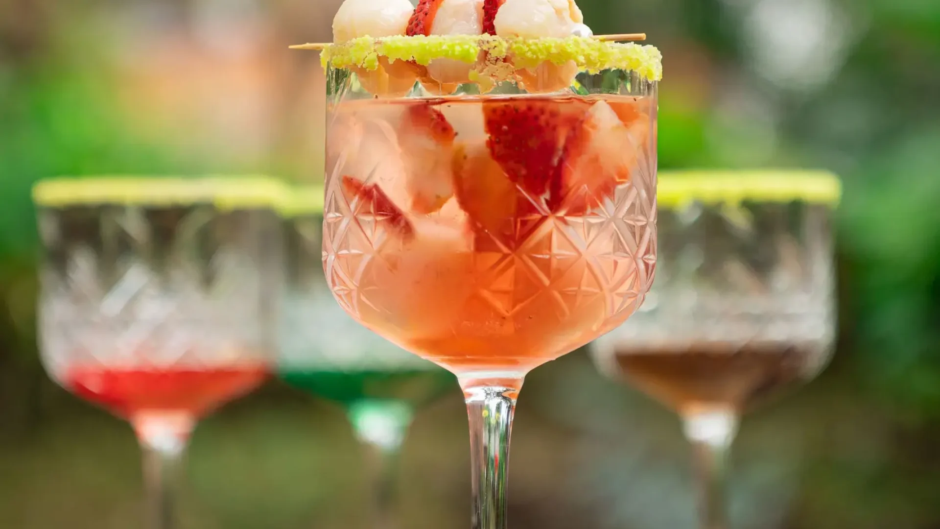 Bebidas4